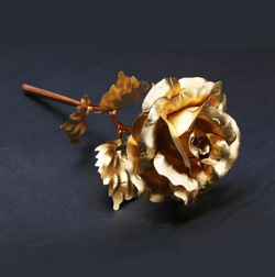 Golden Rose